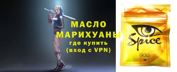соль ск Елабуга