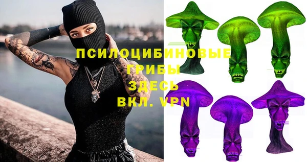 прущий лед Дмитровск