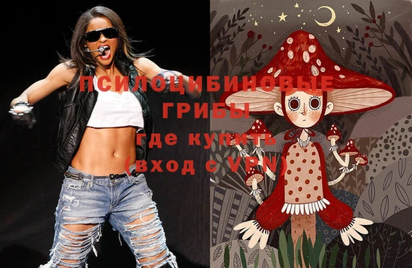 соль ск Елабуга